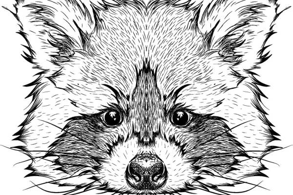 精致刺猬裁片印花服装,打造独特个性风格