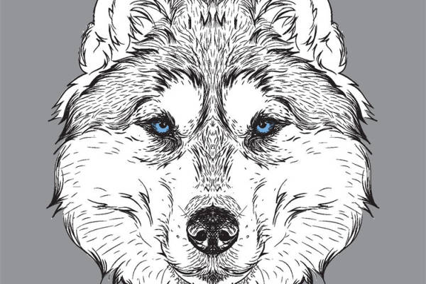 独特哈士奇裁片印花服装，展现个性风格