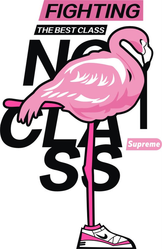 潮流火烈鸟裁片印花服装 时尚街头风格个性印花T恤