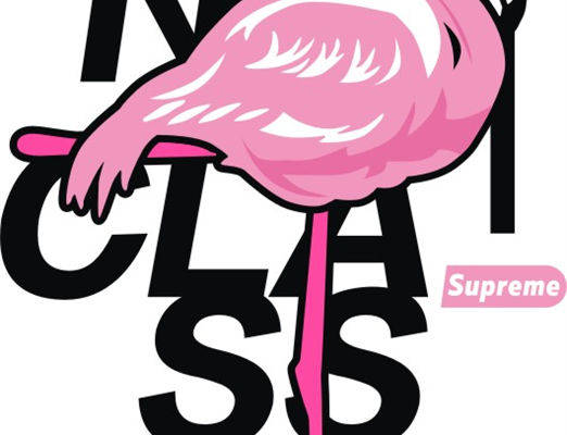 潮流火烈鸟裁片印花服装 时尚街头风格个性印花T恤