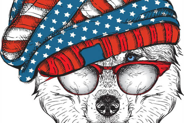 爱国风格狗狗裁片印花服装,展现独特个性