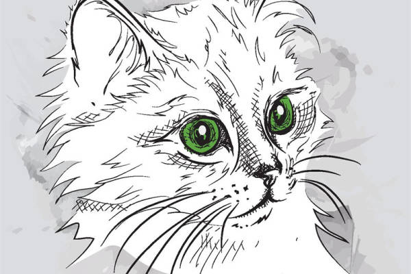 时尚潮流猫咪裁片印花服装印花设计