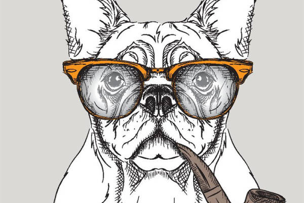 时尚潮狗裁片印花服装：趣味眼镜与烟斗设计