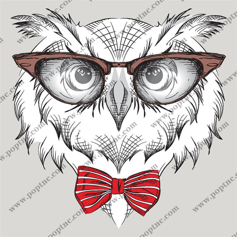 时尚猫头鹰裁片印花服装,独特眼镜领结设计