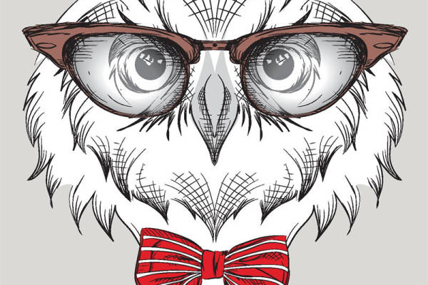 时尚猫头鹰裁片印花服装,独特眼镜领结设计