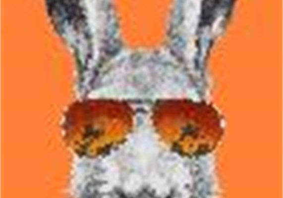 创意兔子裁片印花服装,时尚潮流的完美选择