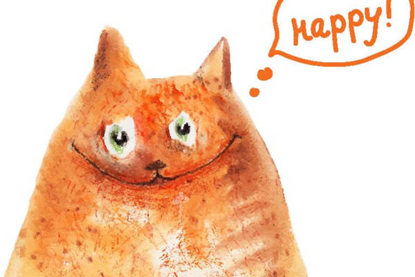 可爱卡通猫咪裁片印花服装 增添活力与欢乐