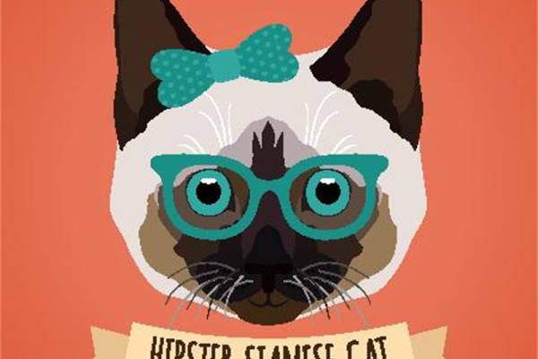 时尚潮流暹罗猫裁片印花服装,打造个性街头风格