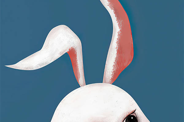 可爱兔子裁片印花服装：时尚与童趣的完美结合