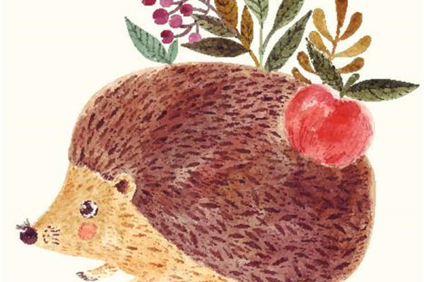 可爱刺猬裁片印花服装 创意水果图案服装印花设计