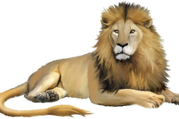 独特狮子图案裁片印花服装，展现个性与力量