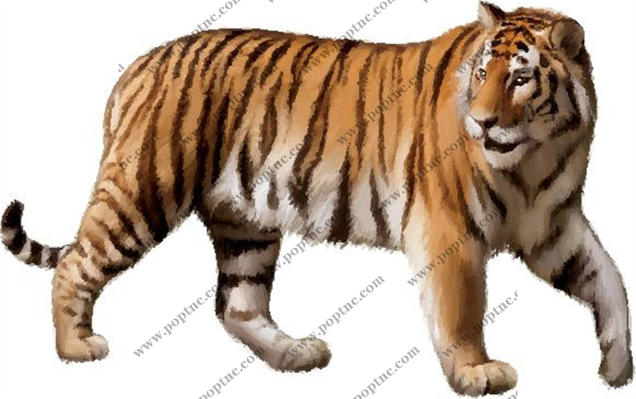 时尚老虎裁片印花服装,展现独特个性的服装印花设计