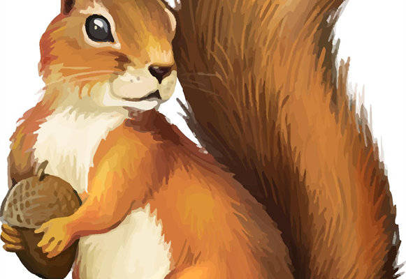 可爱松鼠裁片印花服装，打造自然风格时尚单品