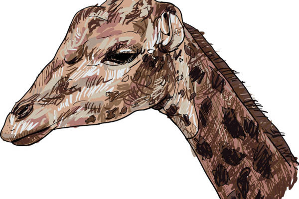 创意长颈鹿图案裁片印花服装印花设计