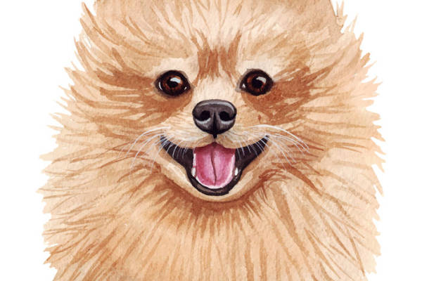 可爱狗狗水彩裁片印花服装印花设计