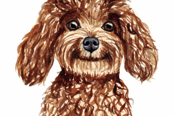 可爱棕色小狗裁片印花服装,时尚宠物主题服装印花设计