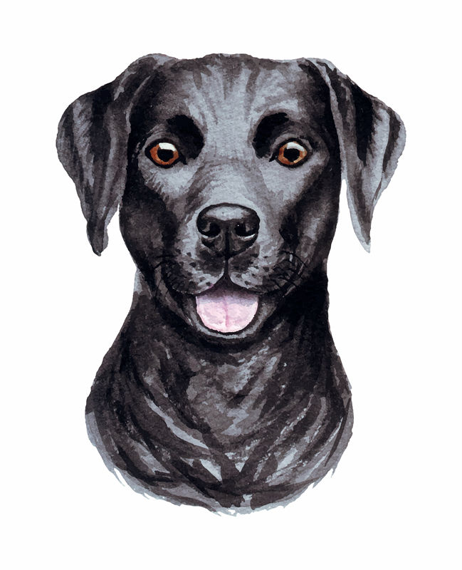 可爱黑色拉布拉多犬水彩裁片印花服装
