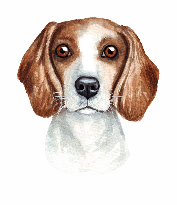 可爱比格犬裁片印花服装印花设计
