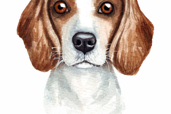 可爱比格犬裁片印花服装印花设计