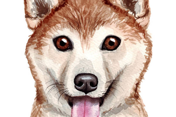 可爱卡通狼头裁片印花服装印花设计