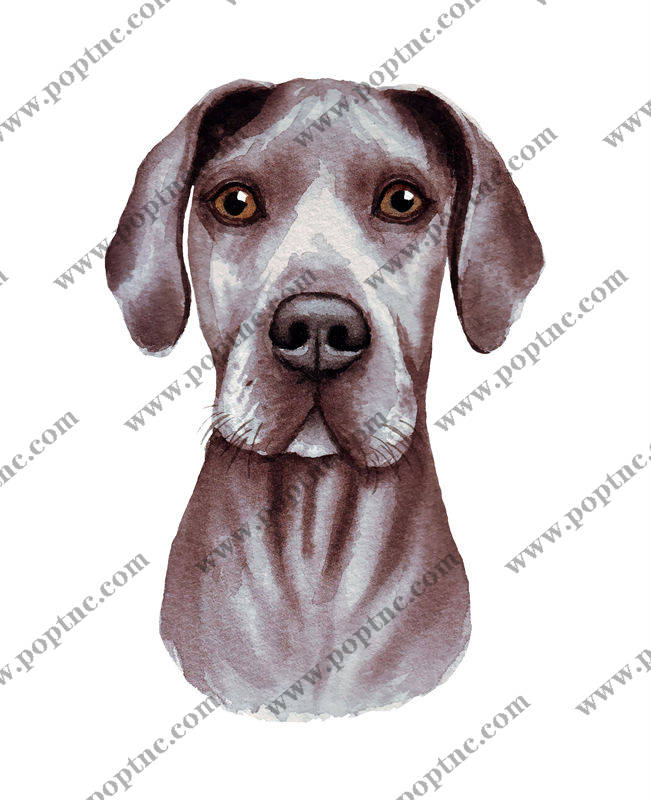 时尚水彩风格狗头裁片印花服装印花设计