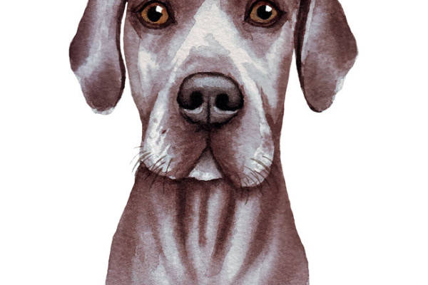 时尚水彩风格狗头裁片印花服装印花设计