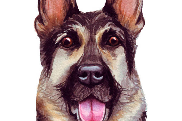 德国牧羊犬水彩画裁片印花服装印花设计
