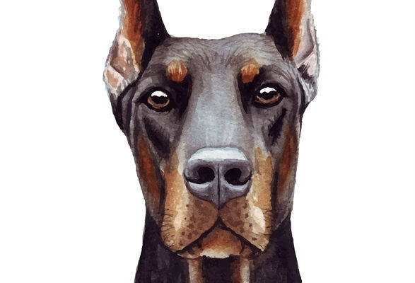 时尚水彩杜宾犬裁片印花服装，展现个性魅力