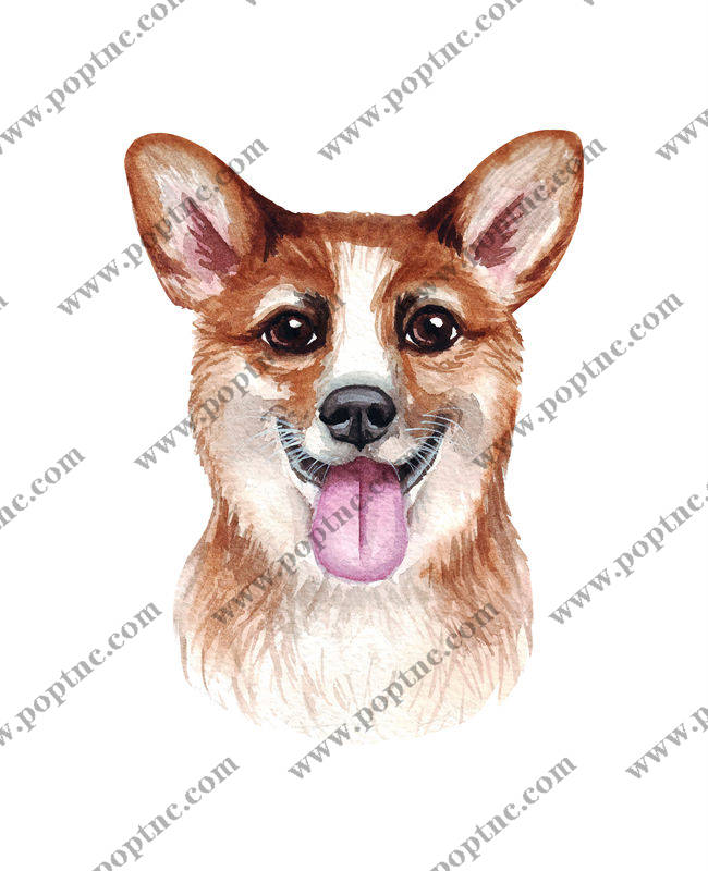 可爱柯基犬裁片印花服装 时尚宠物图案服装印花设计