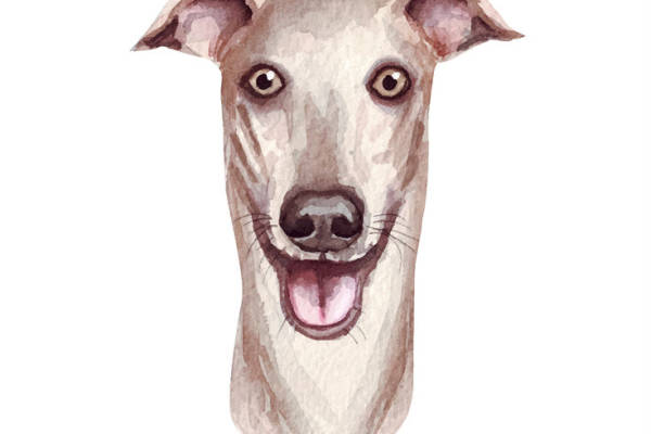 时尚水彩风格狗头裁片印花服装印花设计