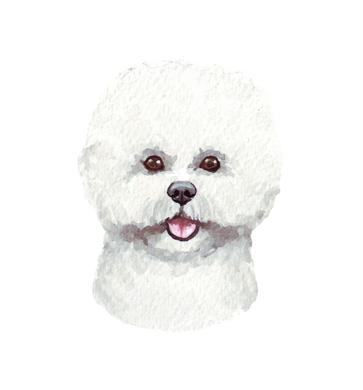 可爱白色比熊犬裁片印花服装，打造温馨宠物风格