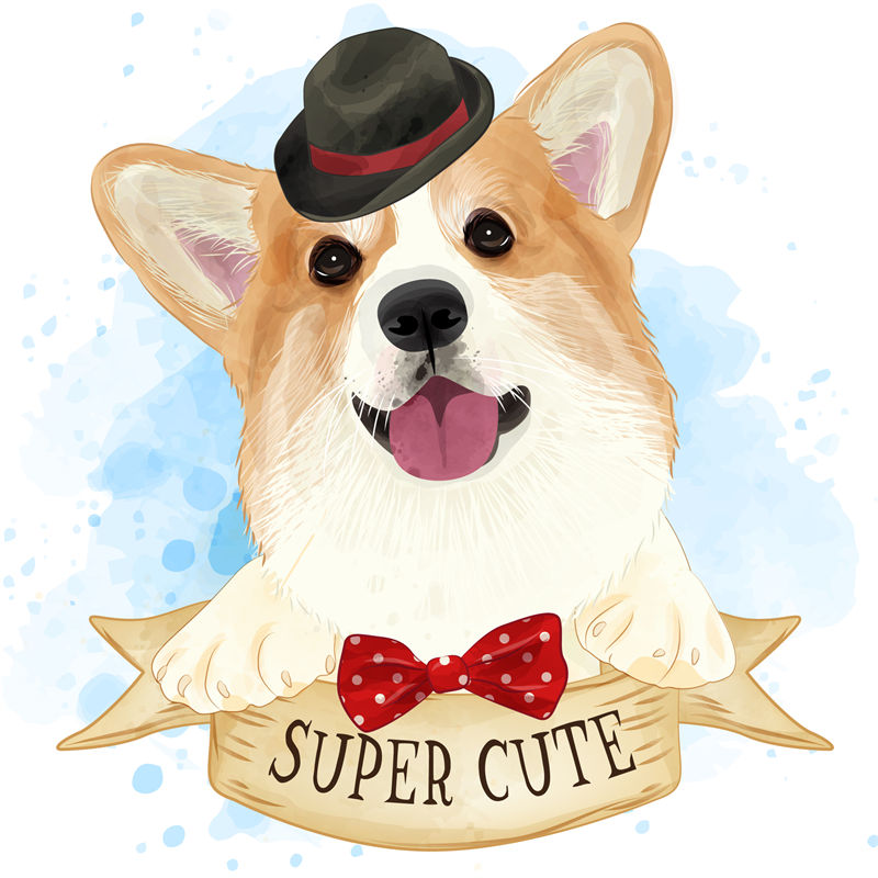 萌趣柯基犬裁片印花服装 时尚可爱宠物主题服装印花