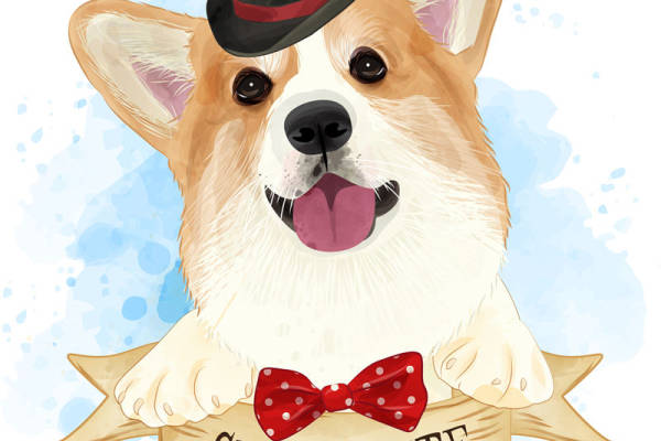 萌趣柯基犬裁片印花服装 时尚可爱宠物主题服装印花