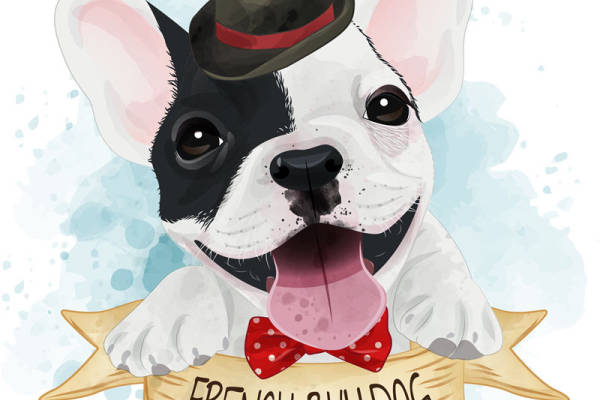 可爱法斗犬裁片印花服装 时尚宠物风格服装印花设计