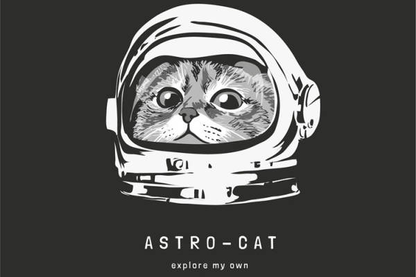 太空猫裁片印花服装：探索自我隐私的时尚宣言