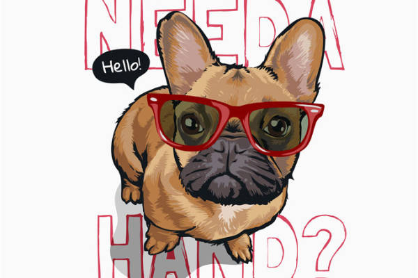 可爱法斗犬裁片印花服装,萌趣眼镜设计,时尚潮流必备