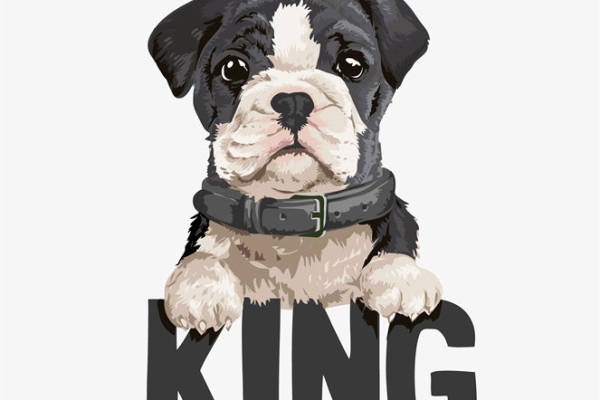 可爱狗狗主题裁片印花服装，展现萌宠魅力