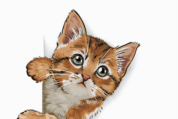 可爱猫咪裁片印花服装，时尚个性服装印花设计