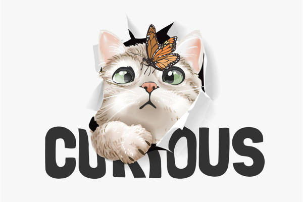 创意可爱猫咪裁片印花服装 时尚潮流个性服装印花设计