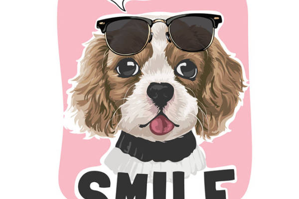 可爱狗狗裁片印花服装，让你每天微笑的时尚选择