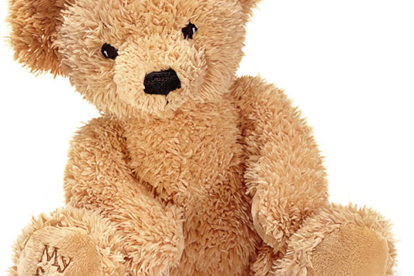 经典款泰迪熊裁片印花服装，儿童礼物首选