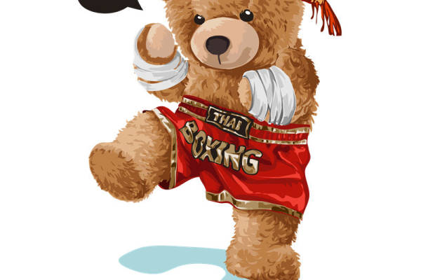 可爱泰迪熊裁片印花服装,展现独特个性拳击风格