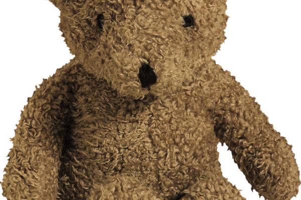 经典复古风格棕色泰迪熊裁片印花服装