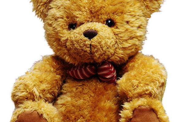 可爱毛绒泰迪熊裁片印花服装印花设计