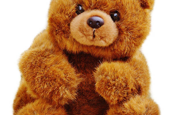 可爱棕色泰迪熊裁片印花服装印花设计