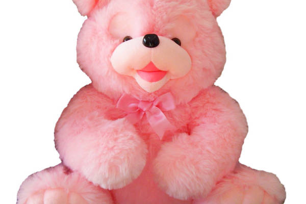 可爱粉色毛绒泰迪熊裁片印花服装印花设计