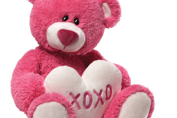 可爱粉色毛绒泰迪熊裁片印花服装印花设计