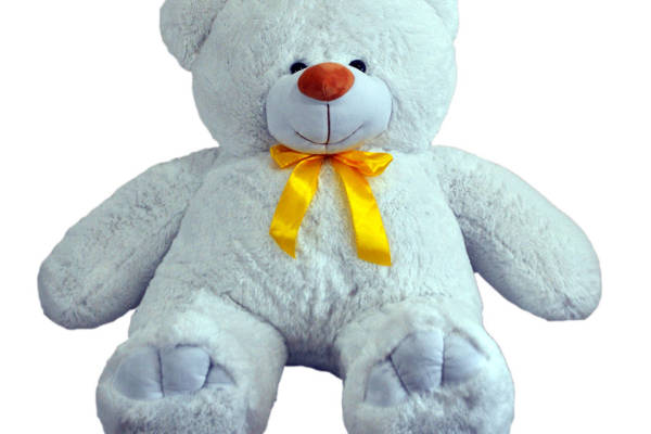 可爱白色泰迪熊裁片印花服装，温馨礼物之选