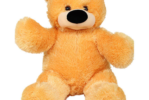 可爱橙色毛绒泰迪熊裁片印花服装印花设计