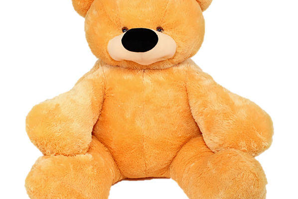 经典可爱棕色毛绒玩具熊裁片印花服装印花设计